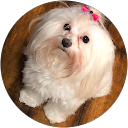 Bonita V profile picture