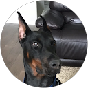 nelda plasencia profile picture